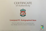 Roberto Firmino<br>FC Liverpool<br>Original signiertes Trikot 2017/18 „125 Jahre FC Liverpool“